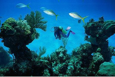 《龙腾世纪：影障守护者》等级上限50级 技能树分三种